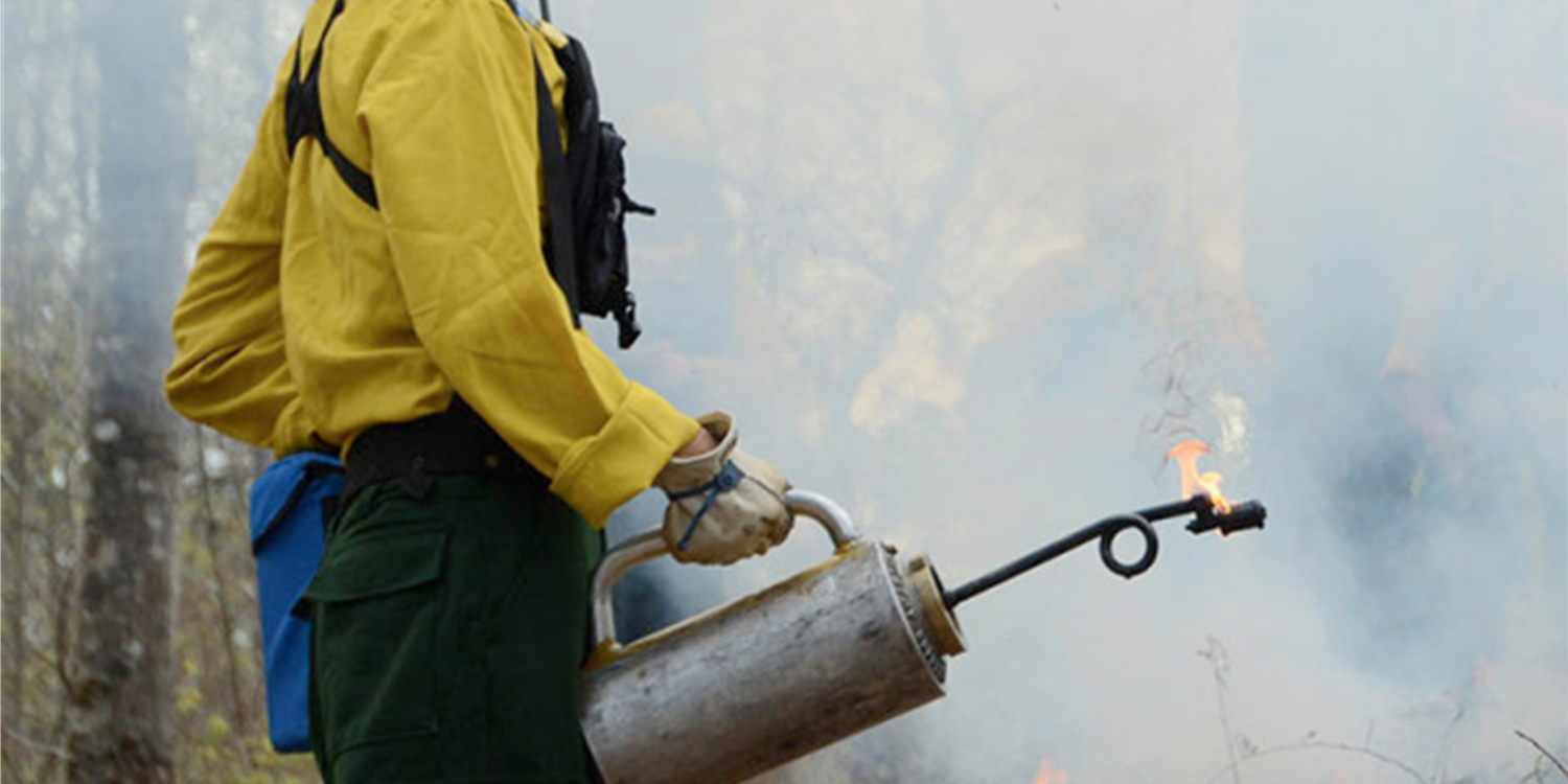 Scholarship: GFC Prescribed Fire Certification Training Course (Lunch Provided) Image
